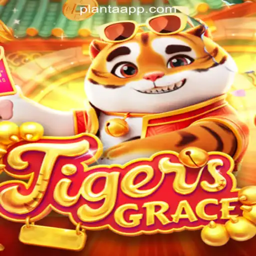 Discovering TigersGrace: An Immersive Slot Experience