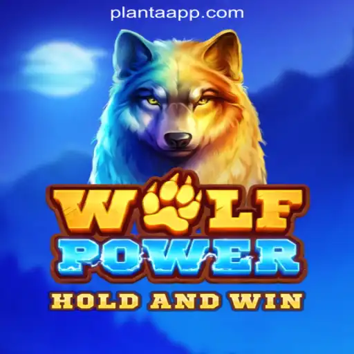 Exploring WolfPower: A Howling Adventure in Slot Gaming